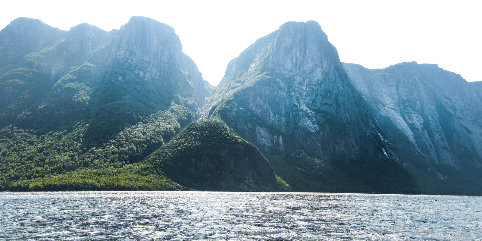 takeCHARGE Oil To Electric Incentive | Newfoundland and Labrador