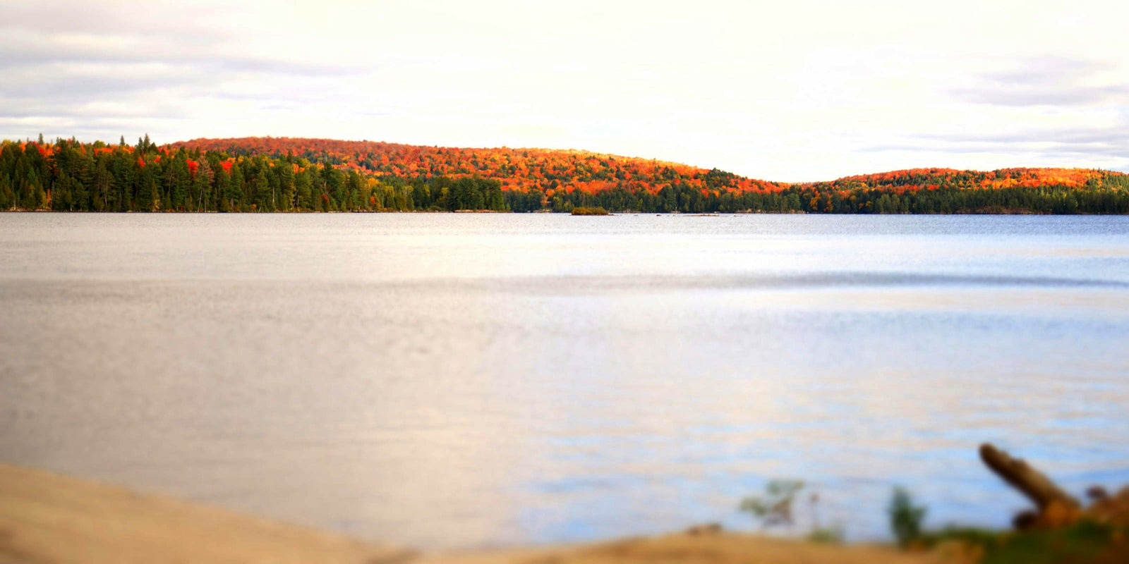 Oil to Heat Pump Affordability Program via Energy Affordability Program | Ontario