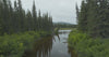 1Click Newfoundland